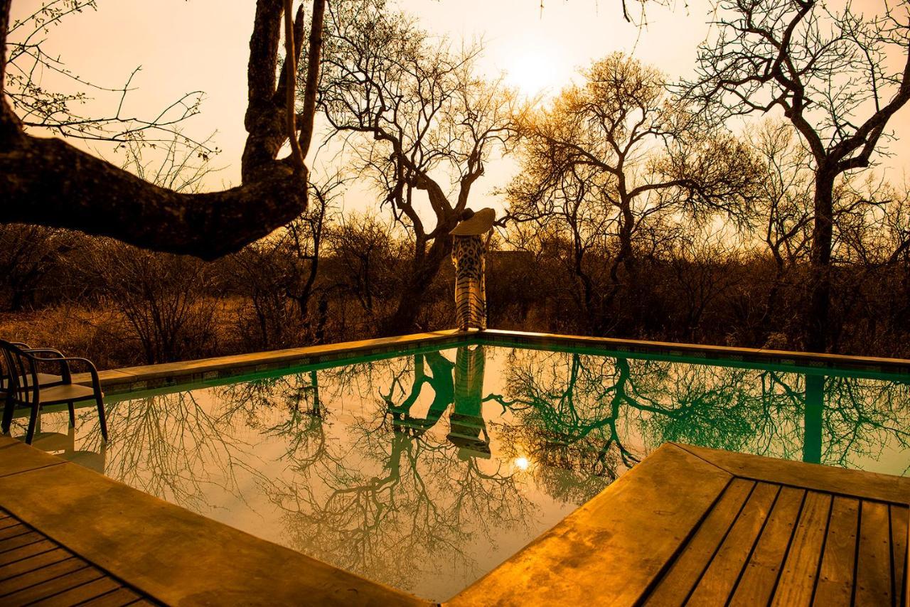 Safari Moon Luxury Bush Lodge Hoedspruit Luaran gambar