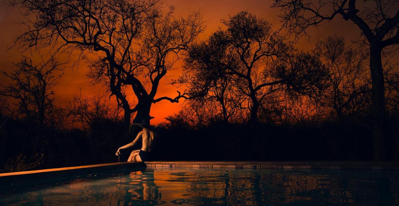 Safari Moon Luxury Bush Lodge Hoedspruit Luaran gambar